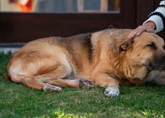 Ajlan Cunda 2* Ayvalik